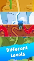Cat Run
