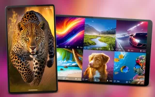 7Fon: Wallpapers & Backgrounds