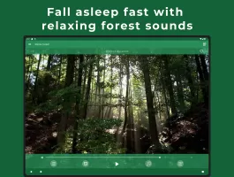 Relax Forest