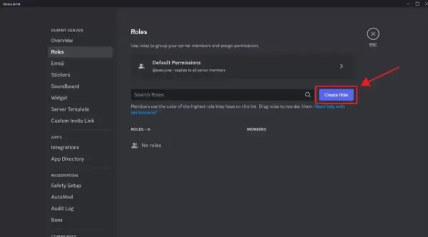 How to Make User an Admin on Discord Server？