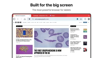 Vivaldi Browser