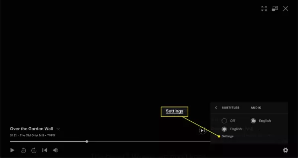 How to Use Hulu Subtitles？