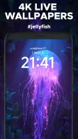 Wall.Engine Live Wallpapers 4K