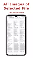 PDF to JPG Converter