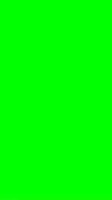 Colors