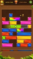 Block Puzzle