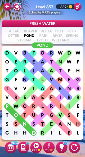 Word Search Explorer