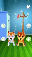 Talking Husky Dog