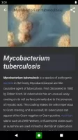 Bacteria: Types, Infections