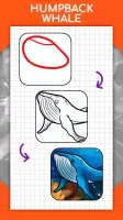 How to draw animals by steps