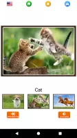 Animal sounds for kids