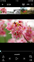 Qphoto