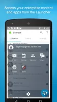 BlackBerry Connect