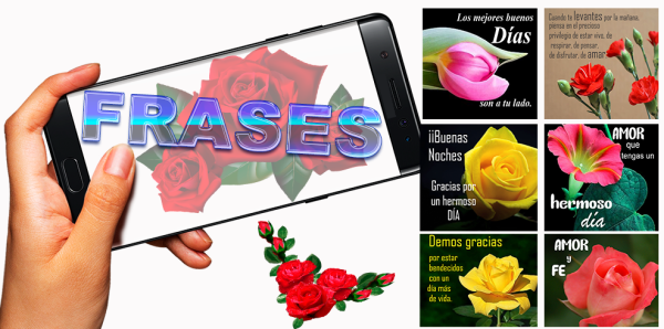 Rosas con frases para dedicar