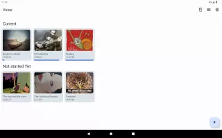 Voice Audiobook Player