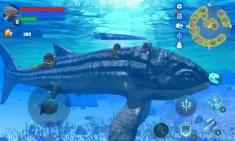 Leedsichthys Simulator