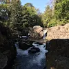 GoldenEGG 10