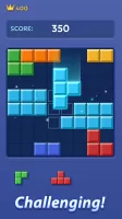 Block Puzzle: Block Smash Game