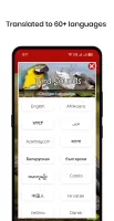 100 Bird sounds