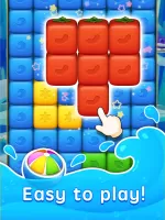 Fruit Block Friends