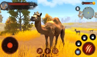 The Camel