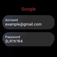 My Passwords