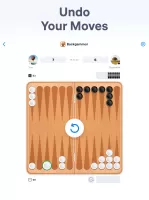 Backgammon - Board Game