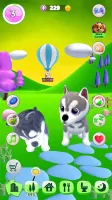 Talking Husky Dog