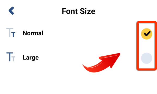 Learn Italian - 11,000 Words
