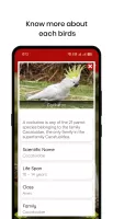100 Bird sounds