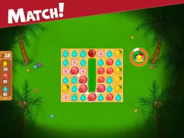 Island Puzzle