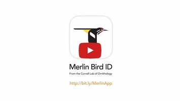 Merlin Bird ID--Free app from the Cornell Lab