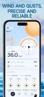 Wind Compass