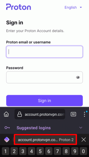 VPN Proton