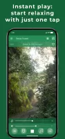 Relax Forest