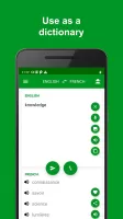 French - English Translator