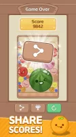 Melon Maker : Fruit Game