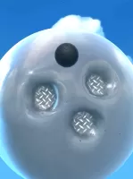 Terra Smash