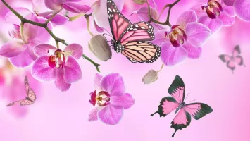 Pink Flowers Live Wallpaper