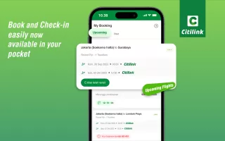 Citilink