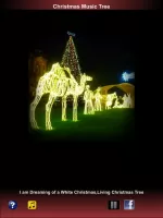 Christmas Music Songs 2025