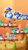 Bird Sort
