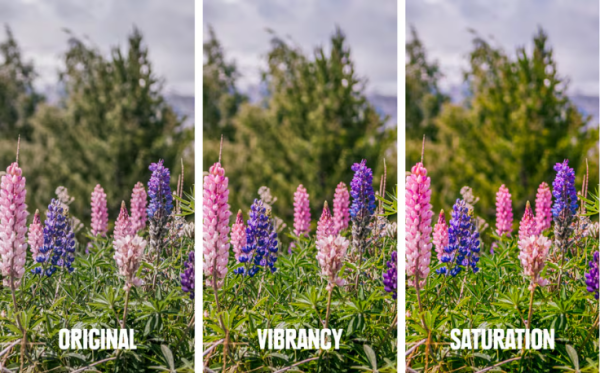 Image Combiner & Editor