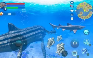 Leedsichthys Simulator