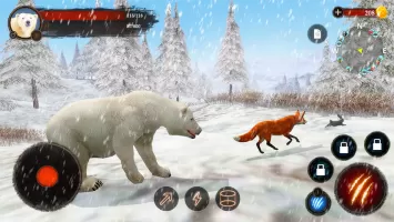 The Bear