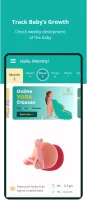 Pregnancy and Baby Tracker