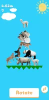 Animal Tower