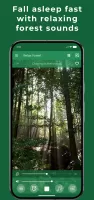 Relax Forest