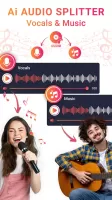 Audio Extractor