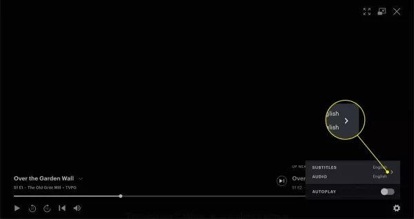 How to Use Hulu Subtitles？